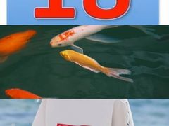 -晋爵会游泳馆(海湾公园店)