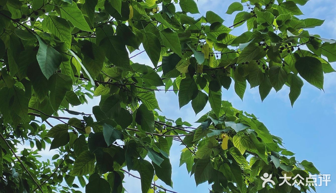 啡飲半醺，似苦若甘，以克苦淬煉著幸福的厚度。