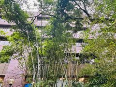 -香港大学