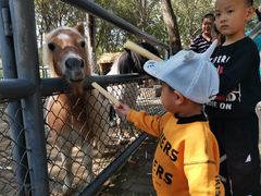 -长白岛森林公园