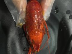 -王红军龙虾(新民路店)