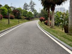 -枫香湖儿童公园