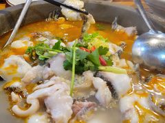 -大鼎石锅鱼(春江里店)