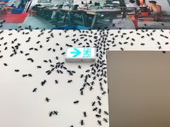 -大馆(前中区警署建築群)