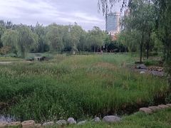 -莲花池公园
