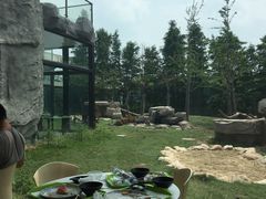 -上海野生动物园老虎餐厅