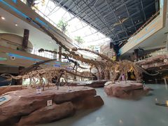 -安徽省地质博物馆