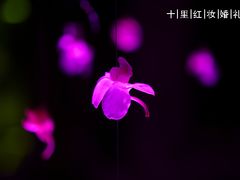 10-裕龙国际酒店(阜成路一店)