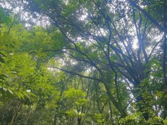 -飞霞风景名胜区