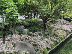 -铁像寺水街