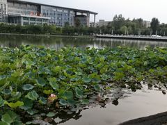 -西南政法大学(渝北校区)