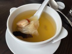 羊肚菌肉汁炖花胶-广州柏悦酒店·悦景轩·粤菜餐厅