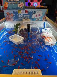 -卡通尼乐园(印象汇店)