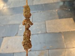 -西羊市老米家泡馍(西羊市店)