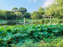 -北陵公园
