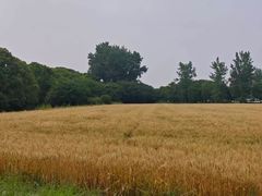 -嘉北郊野公园