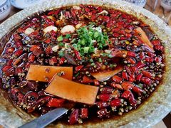 -青城甲(青城山店)