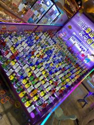 -卡通尼·Safari非洲探索乐园·生日会(金桥国际商业广场店)