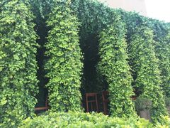 -顶层酒吧ROOF(上海艾迪逊酒店)