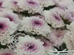 -山姆会员商店(杨桥西路店)