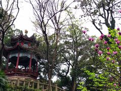 -乌山风景区