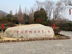 -习家池