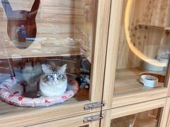 -白兔子密室(长寿路店)