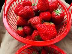 -红星农博物流中心