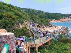 -广东惠东海龟国家级自然保护区