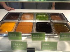 -Salud撒露欧洲冻酸奶(蓝色港湾店)