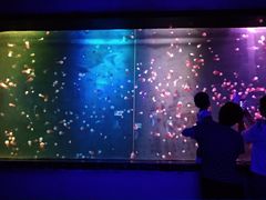 -锦艺城海洋馆