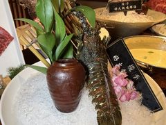 -揽季锅物会·海鲜姿造(五四路店)