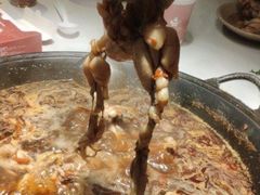 -老天桥蛙炉火锅(姑苏总店)