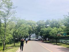 -团城山公园
