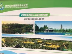 -东郊湿地公园