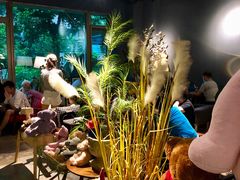 -咖法森林·咖啡  酒吧(天河店)