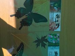 -田园东方蜜桃村的田野营地