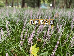-SFC上影影城(港汇永华IMAX激光店)
