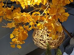 -鹅村长(世纪花园店)