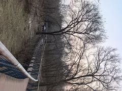 -白水寺森林公园
