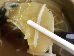 -大中鱼翅 Taitong Shark Fin