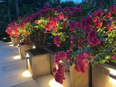 -三亚湾海居铂尔曼度假酒店