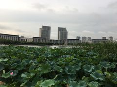 -尚贤河湿地