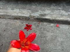 -广州莲花山旅游区