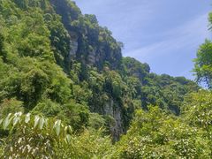 -碧峰峡风景区