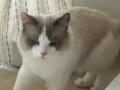 -台州特色小吃(大学城店)