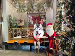 -MIO弥欧洋房西餐厅(中央大街店)