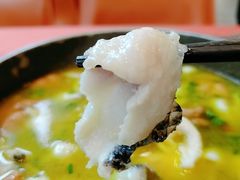 肥肠鱼-赵小姐丨新中餐(曲江店)