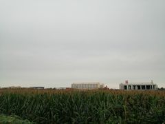 -北京政法职业学院(大兴校区)