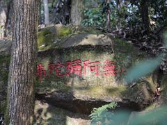 -西湖风景区十里琅珰-五云山